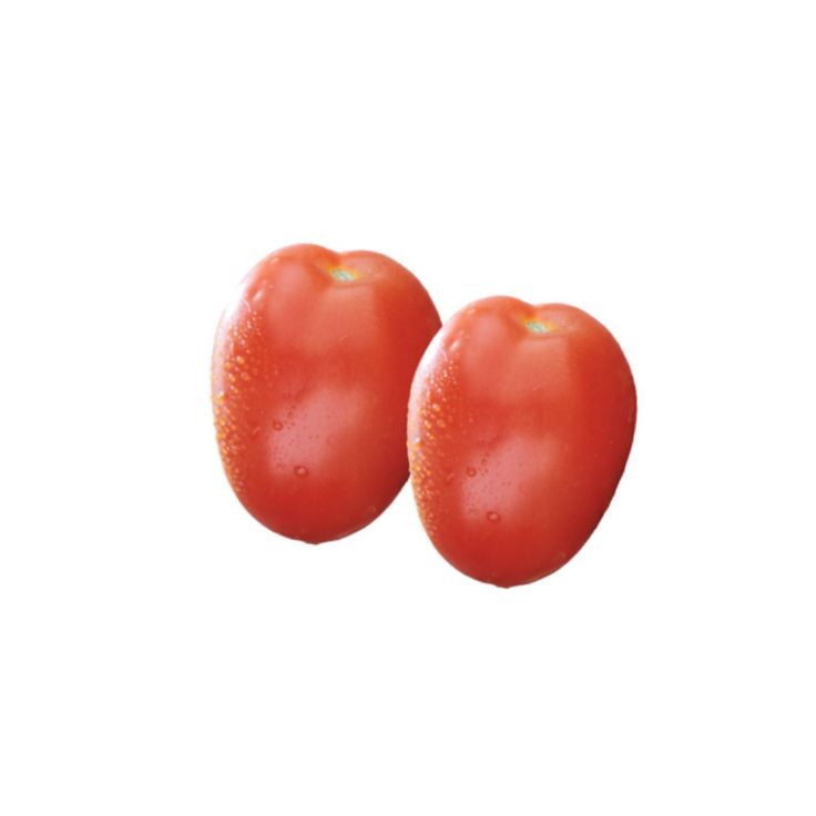 Tomate
